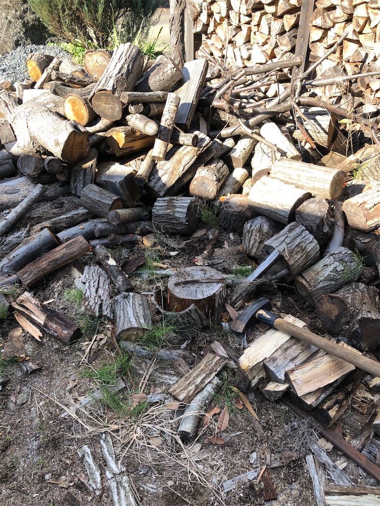 f:id:pippirail:20211214052359j:plain