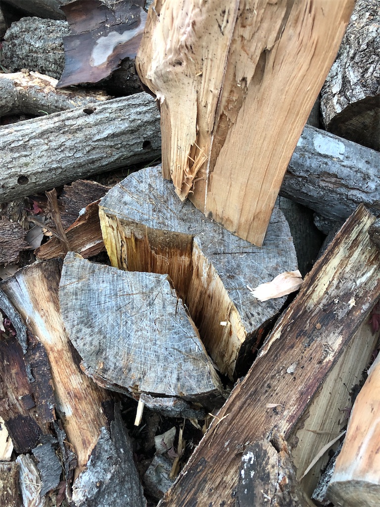 f:id:pippirail:20211214161308j:plain