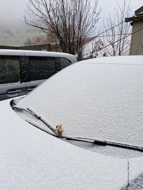 ノーマルタイヤで積雪1cmの巻… - ぴらにあの写真館 in 伊豆大島