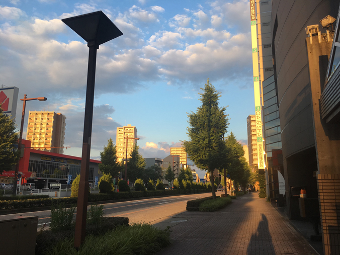 f:id:pirica:20190626192551j:plain f:id:pirica:20190626192551j:plain