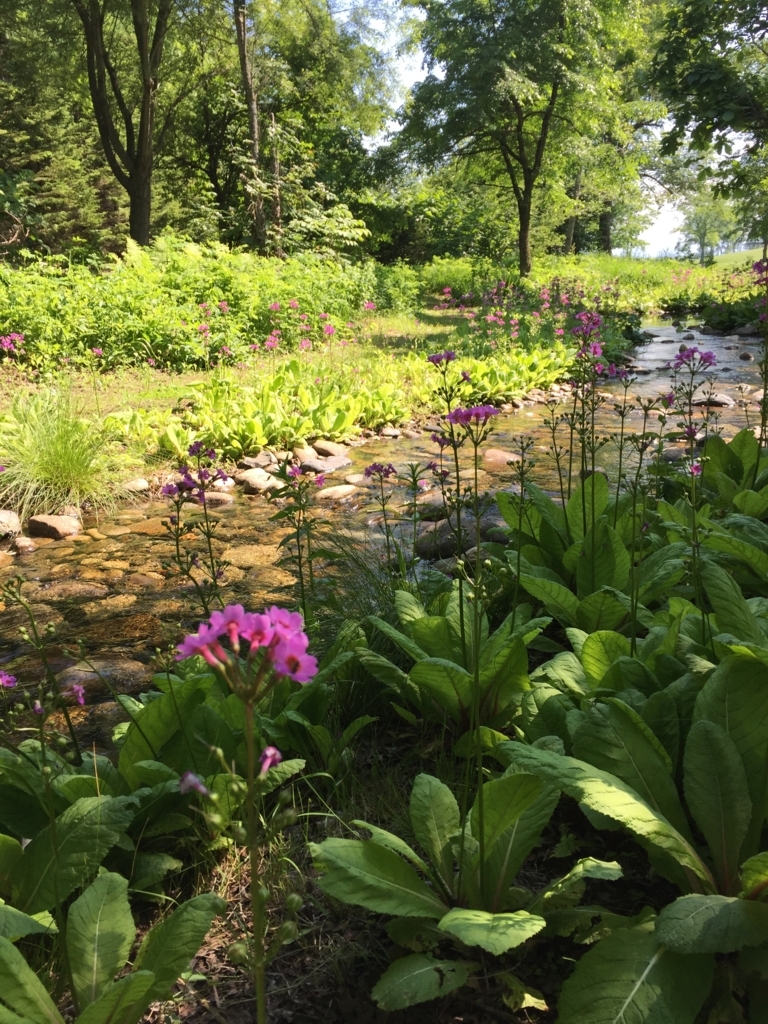 f:id:pirkamer:20170624001359j:plain f:id:pirkamer:20170624001359j:plain