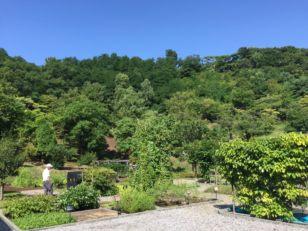 f:id:pirkamer:20170831001006j:plain f:id:pirkamer:20170831001006j:plain