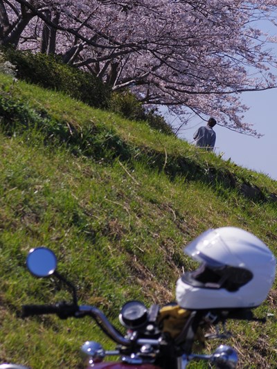 f:id:piroji1616:20210302141224j:plain