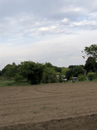 f:id:piroji1616:20210425215400j:plain