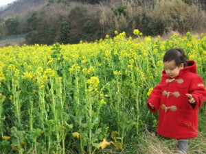 f:id:piroki:20100216135713j:image f:id:piroki:20100216135713j:image