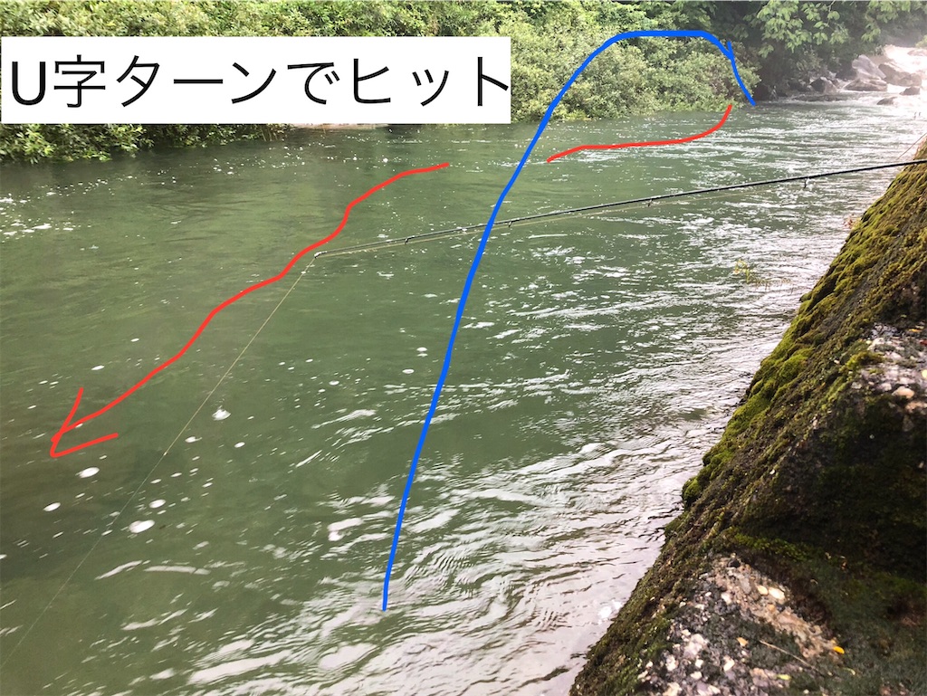 f:id:pirokitan:20240624070719j:image