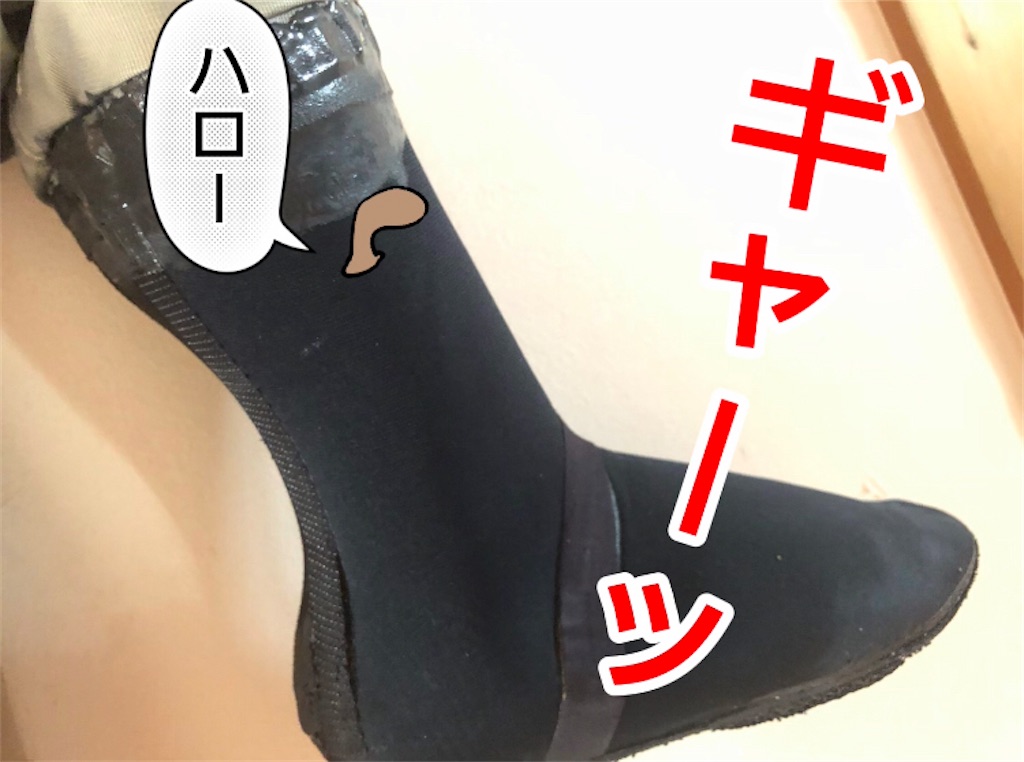 f:id:pirokitan:20240626144444j:image