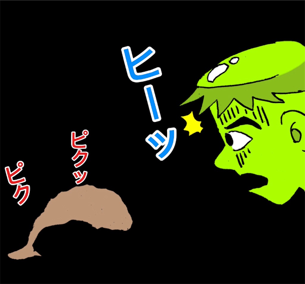 f:id:pirokitan:20240626144603j:image