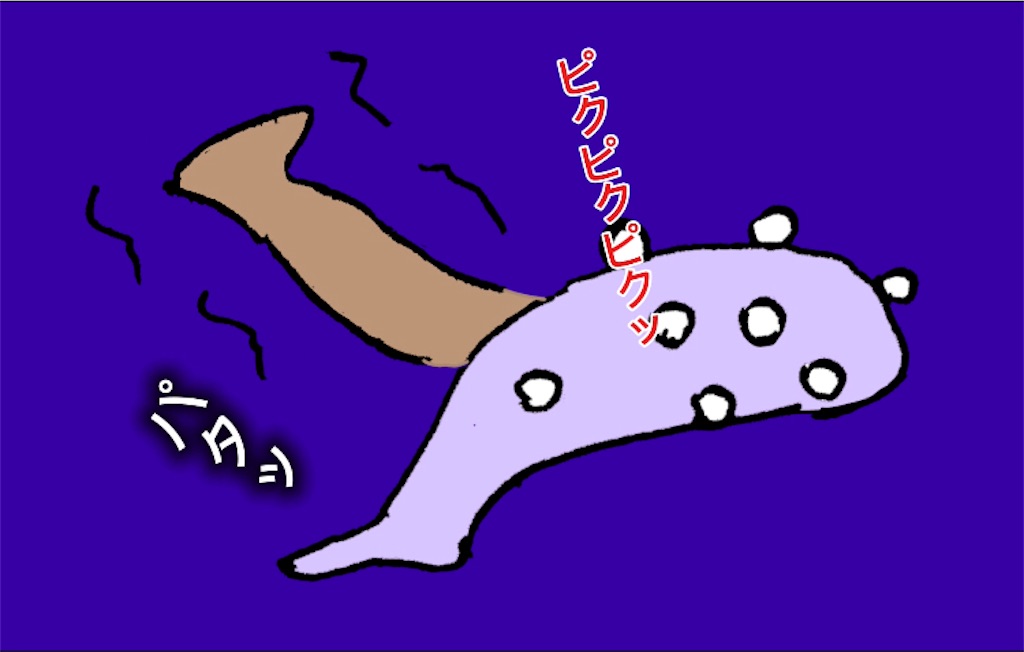 f:id:pirokitan:20240626152913j:image