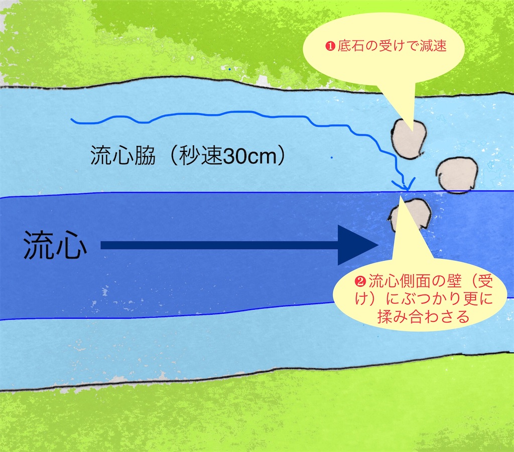 f:id:pirokitan:20240702065810j:image