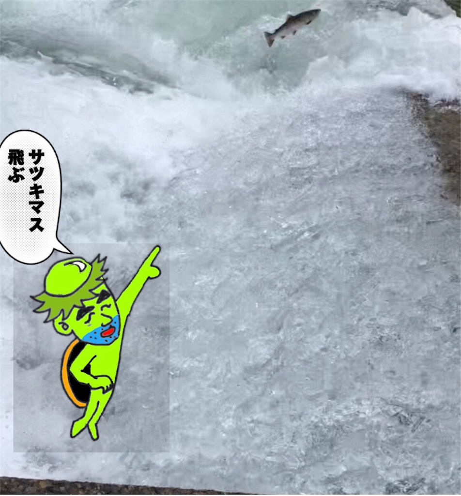 f:id:pirokitan:20240713165631j:image