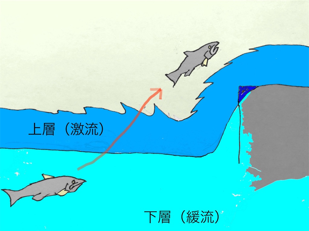 f:id:pirokitan:20240713174734j:image