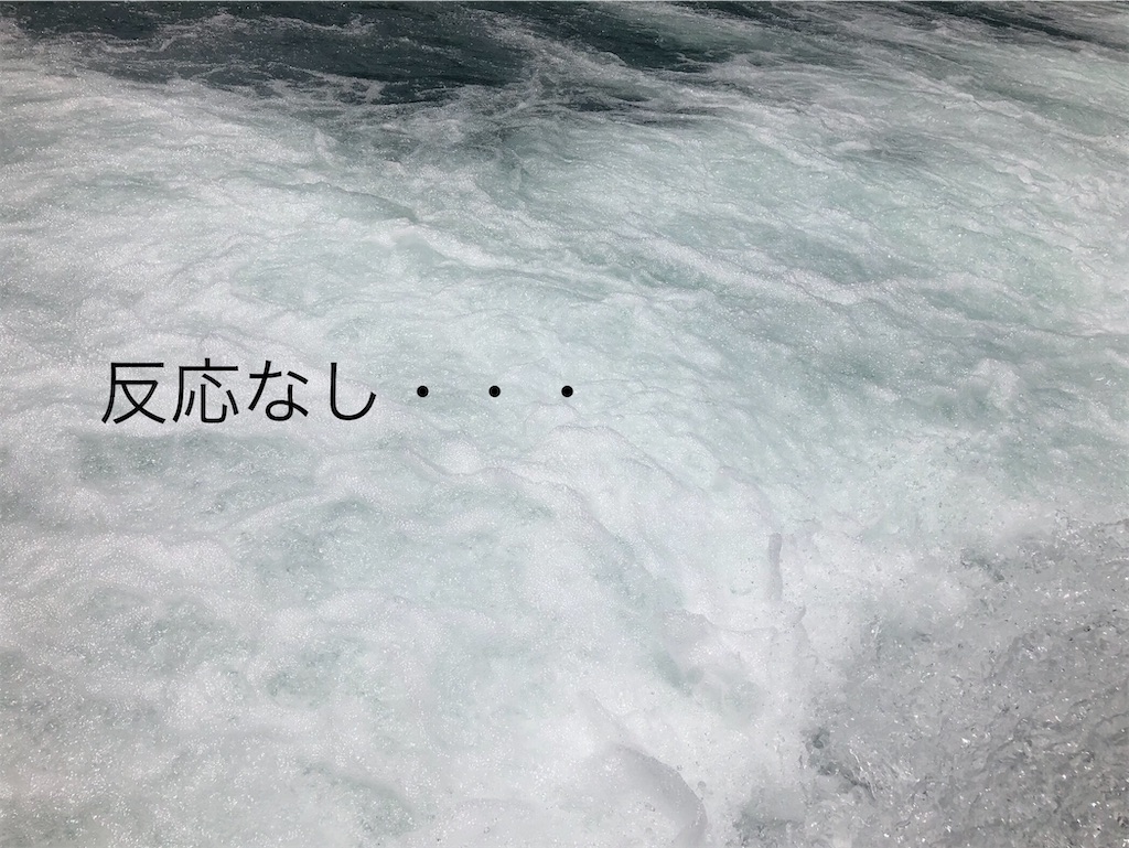 f:id:pirokitan:20240721160331j:image
