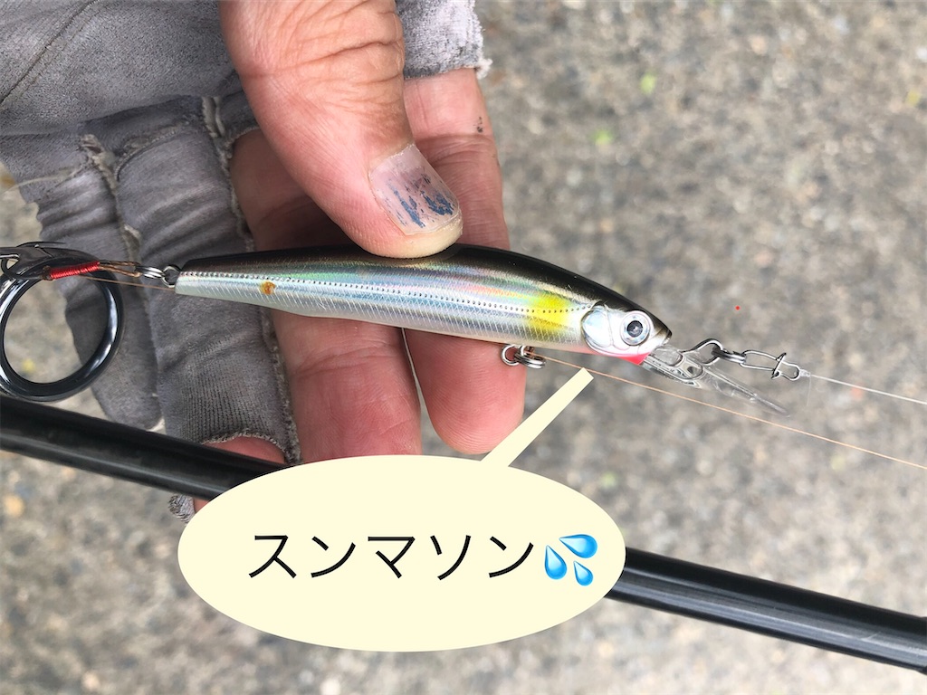 f:id:pirokitan:20240721165924j:image