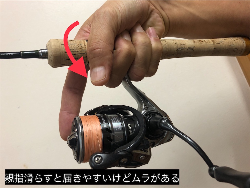 f:id:pirokitan:20240726085724j:image