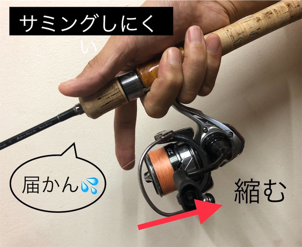 f:id:pirokitan:20240726092734j:image