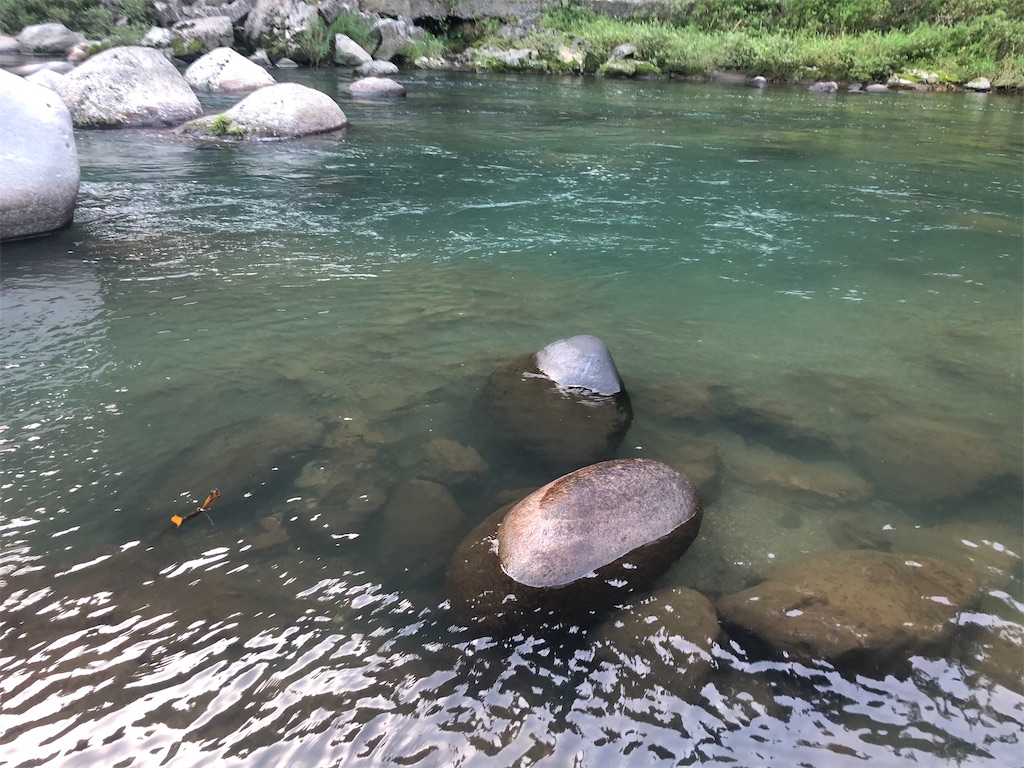 f:id:pirokitan:20240730074451j:image