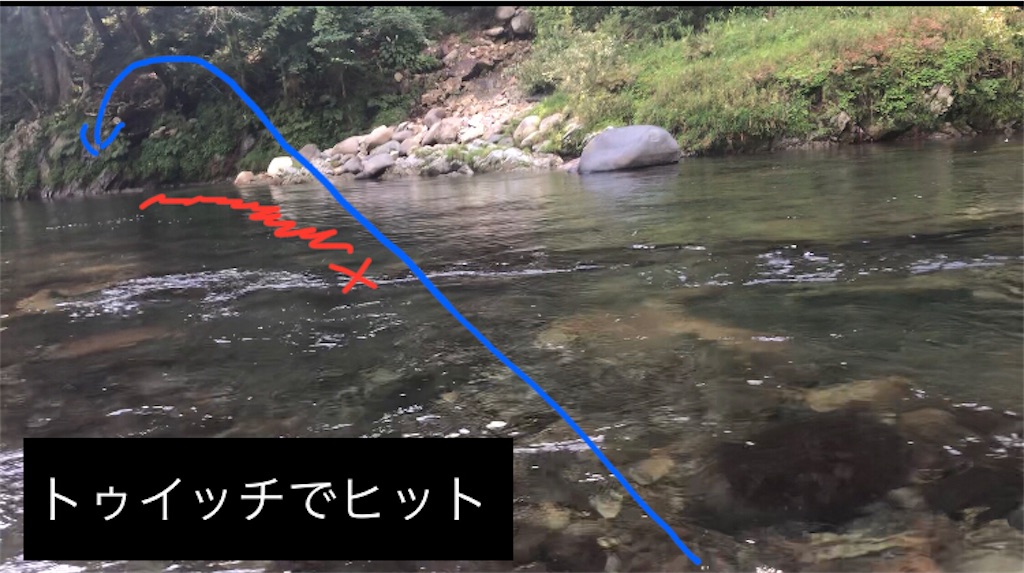 f:id:pirokitan:20240730084927j:image