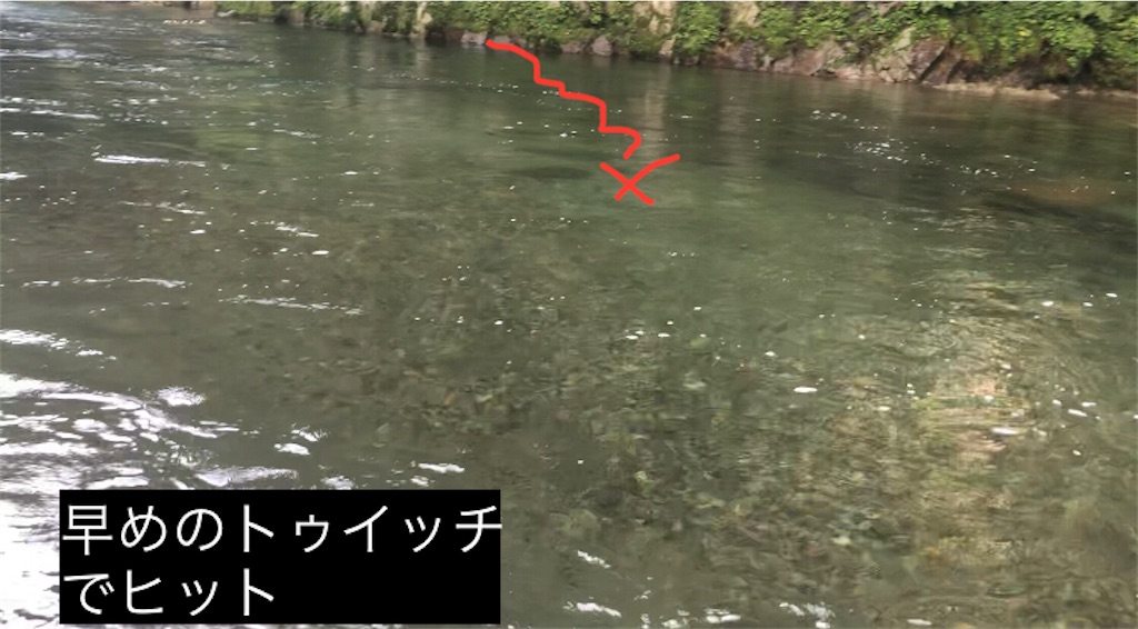 f:id:pirokitan:20240730085151j:image