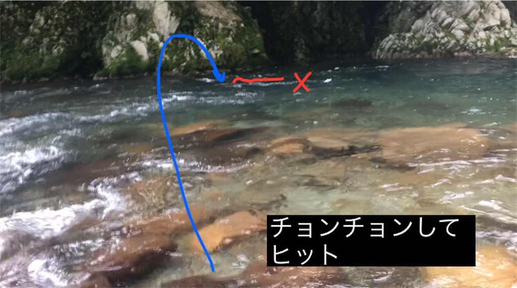 f:id:pirokitan:20240730085420j:image