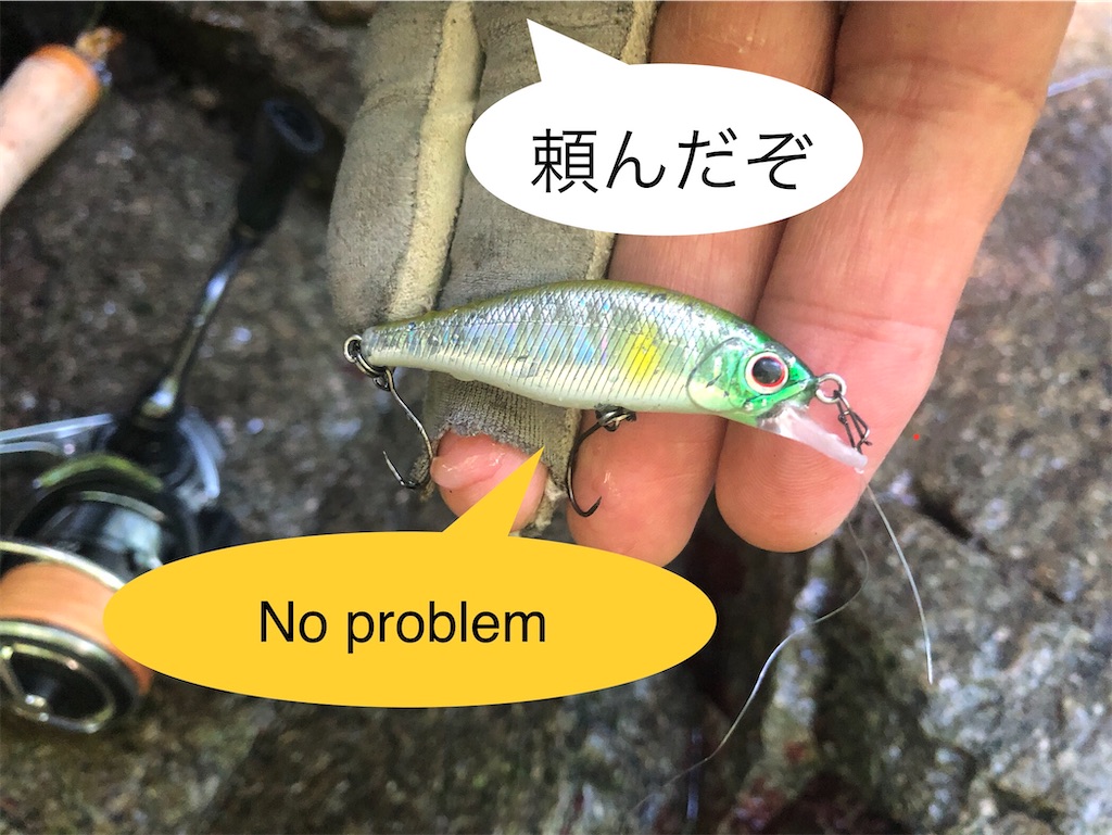 f:id:pirokitan:20240730171553j:image