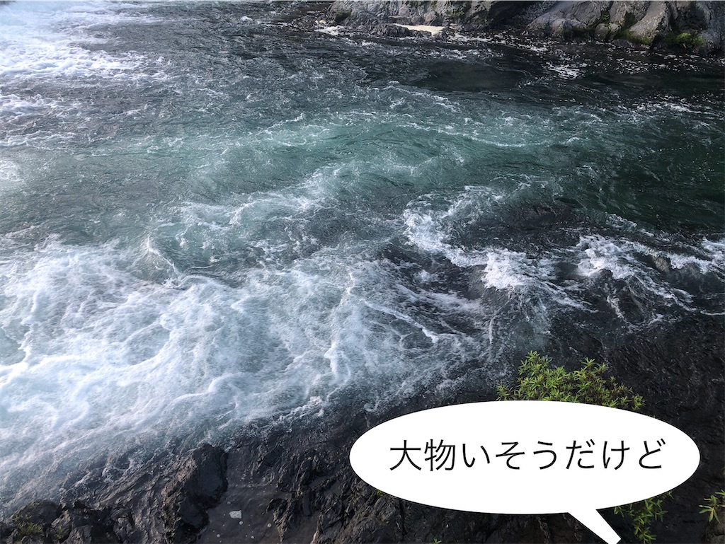 f:id:pirokitan:20240730181754j:image