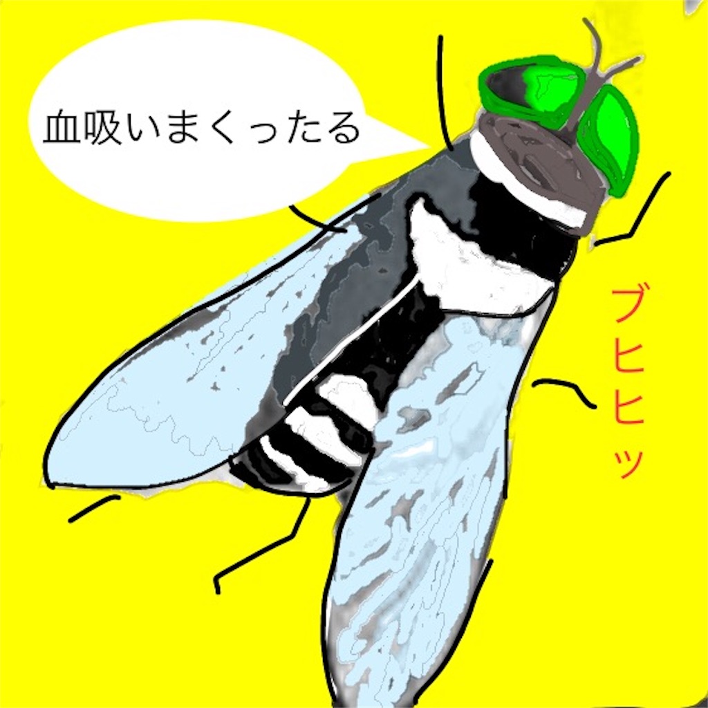 f:id:pirokitan:20240815232101j:image