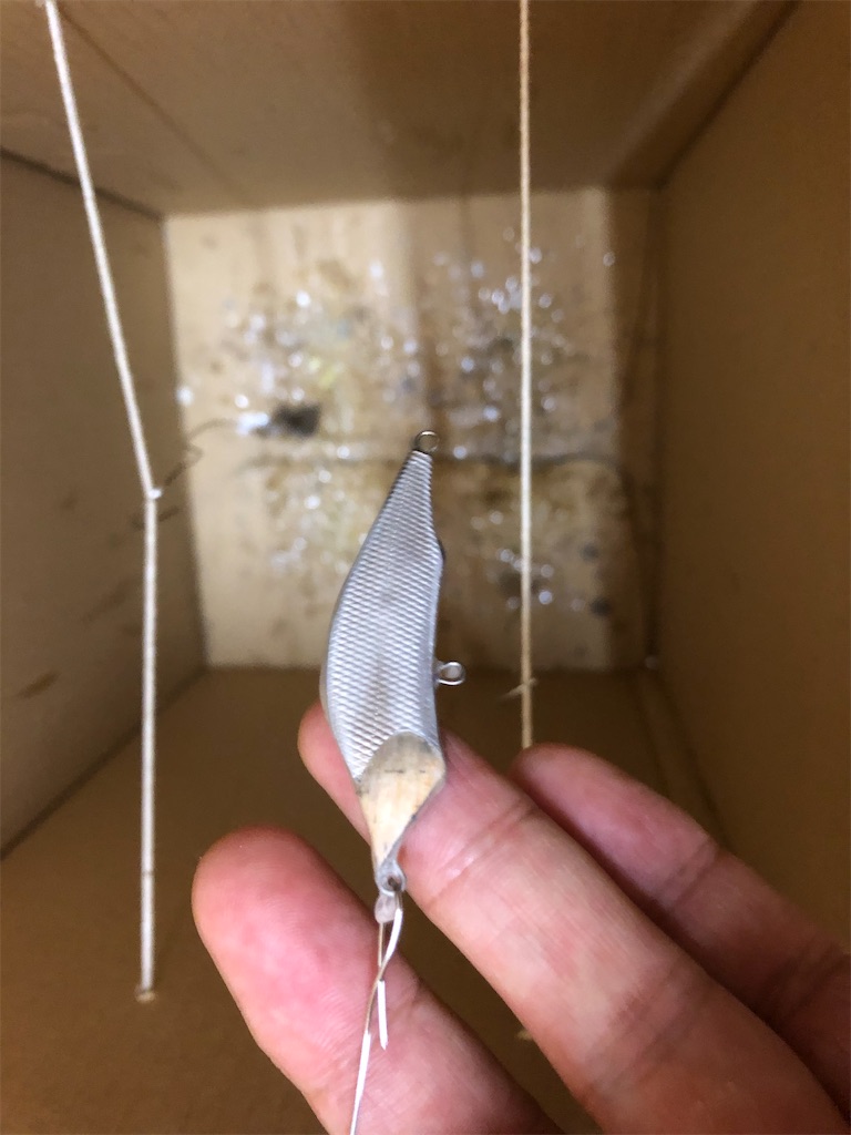 f:id:pirokitan:20240816133030j:image