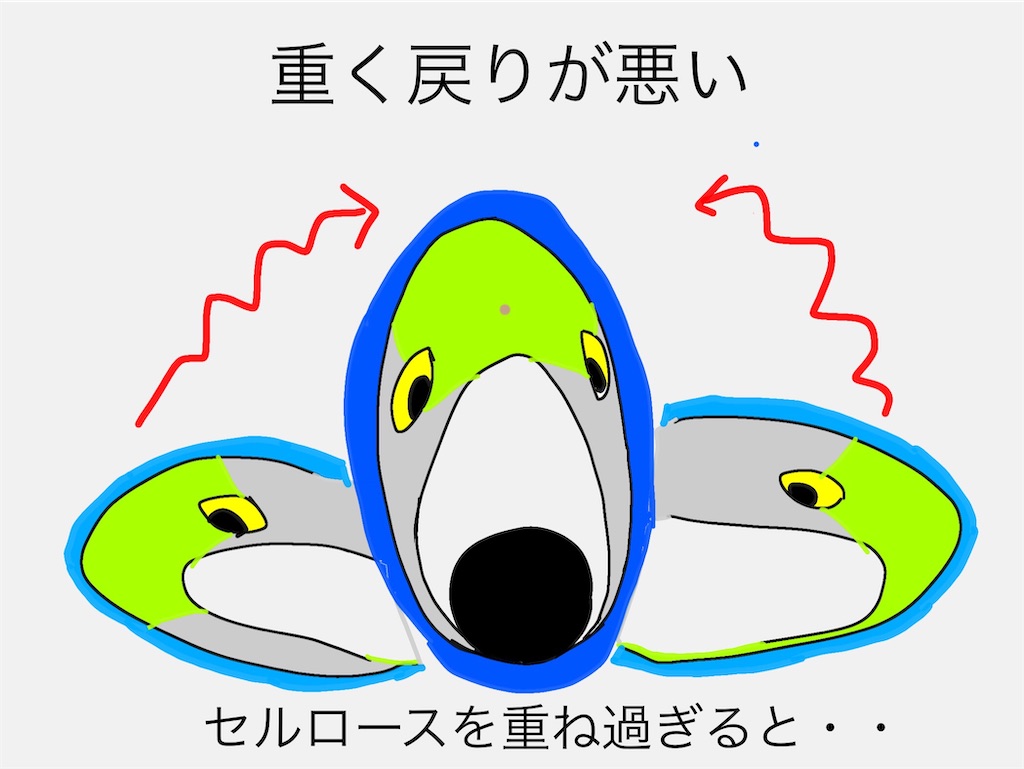 f:id:pirokitan:20240819153454j:image