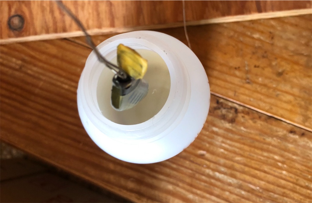 f:id:pirokitan:20240822161447j:image