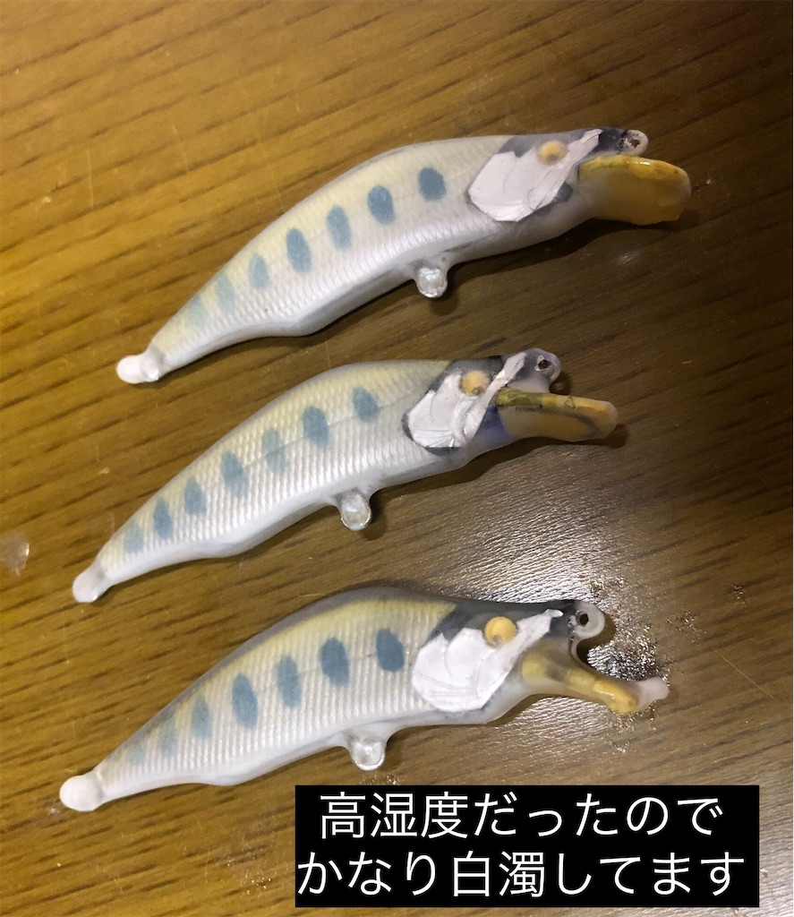 f:id:pirokitan:20240822162834j:image