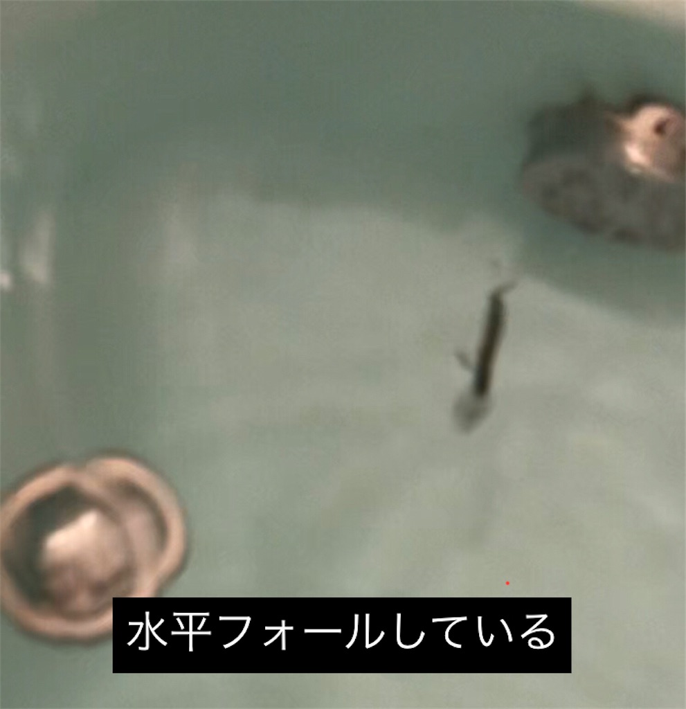 f:id:pirokitan:20240904215154j:image