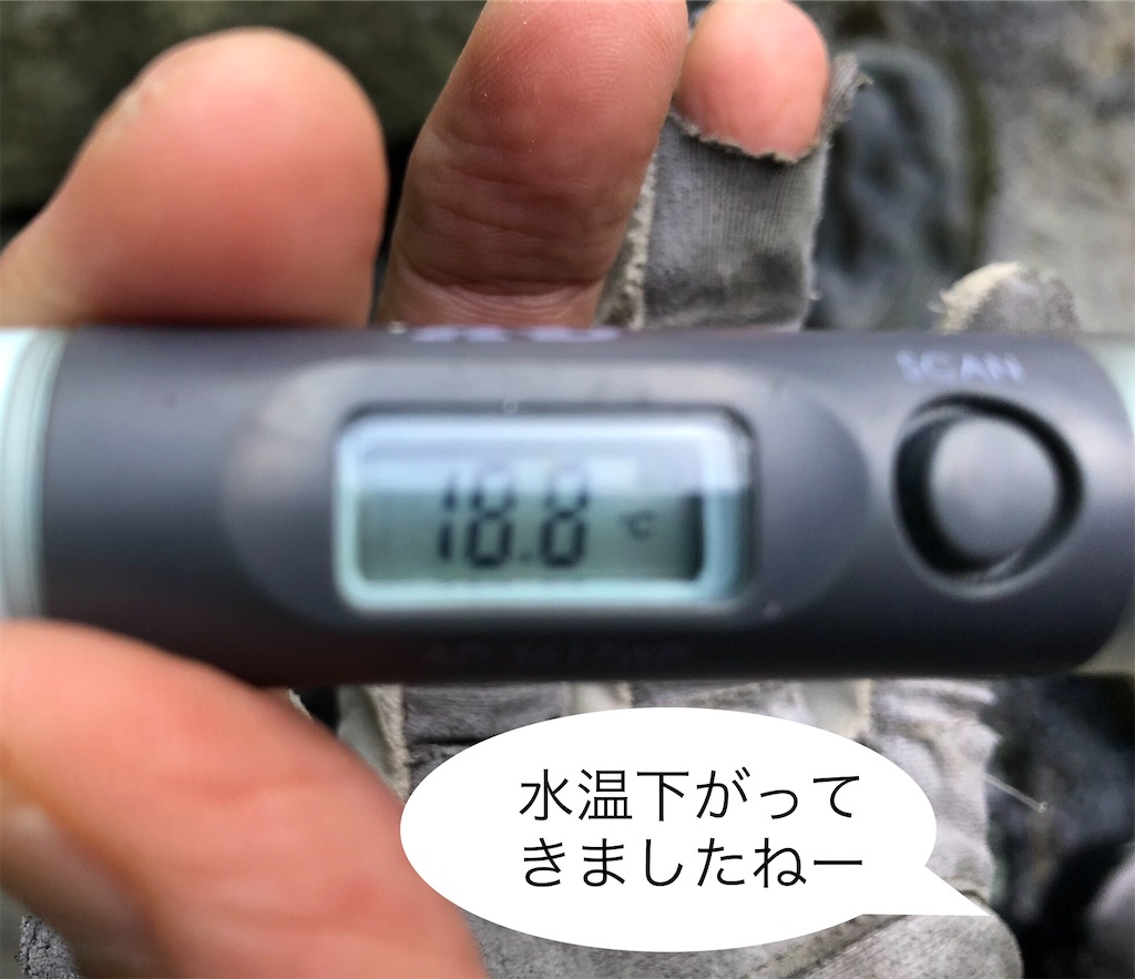 f:id:pirokitan:20240908170842j:image