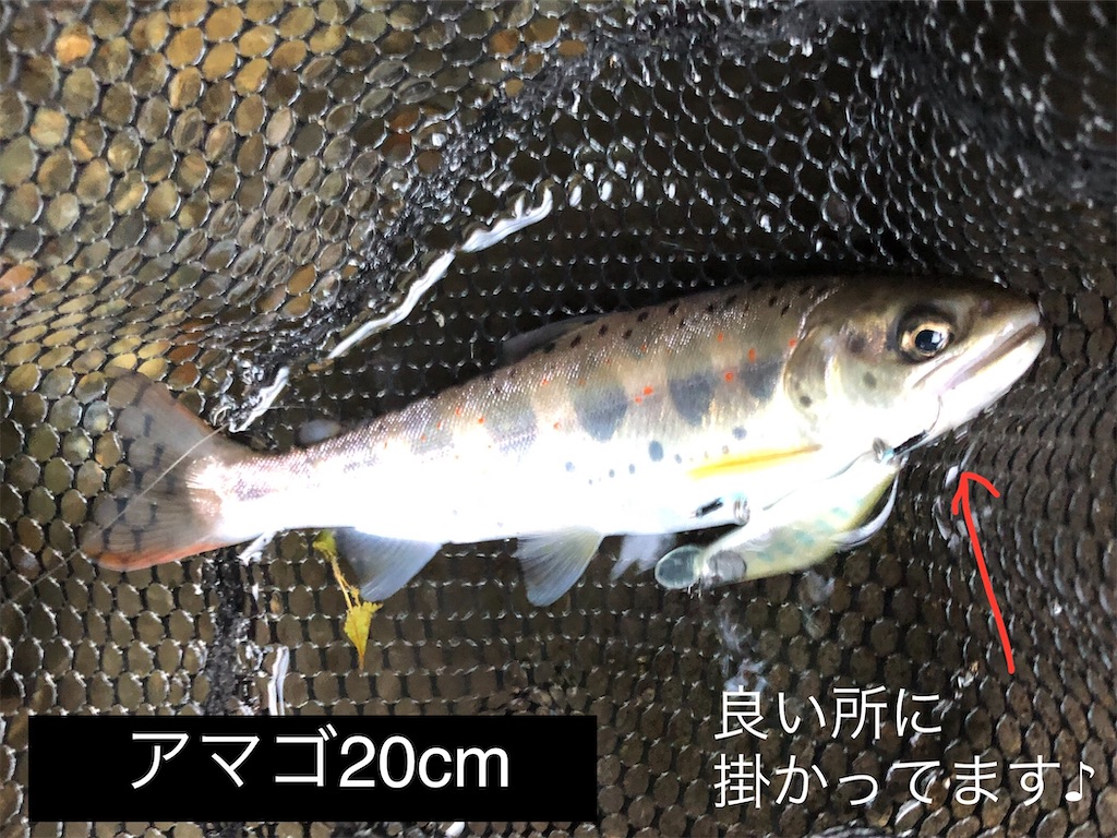 f:id:pirokitan:20240908170912j:image