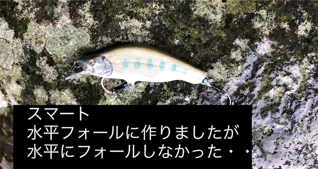 f:id:pirokitan:20240908171232j:image