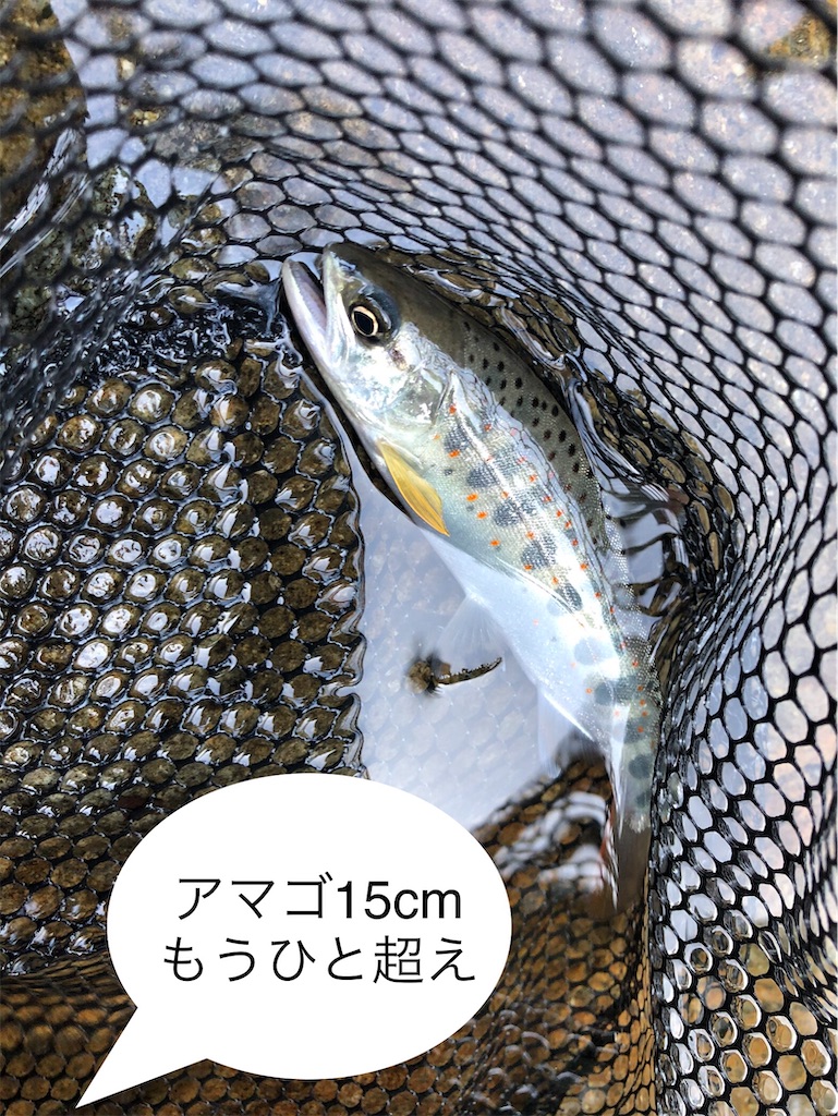 f:id:pirokitan:20240908172151j:image