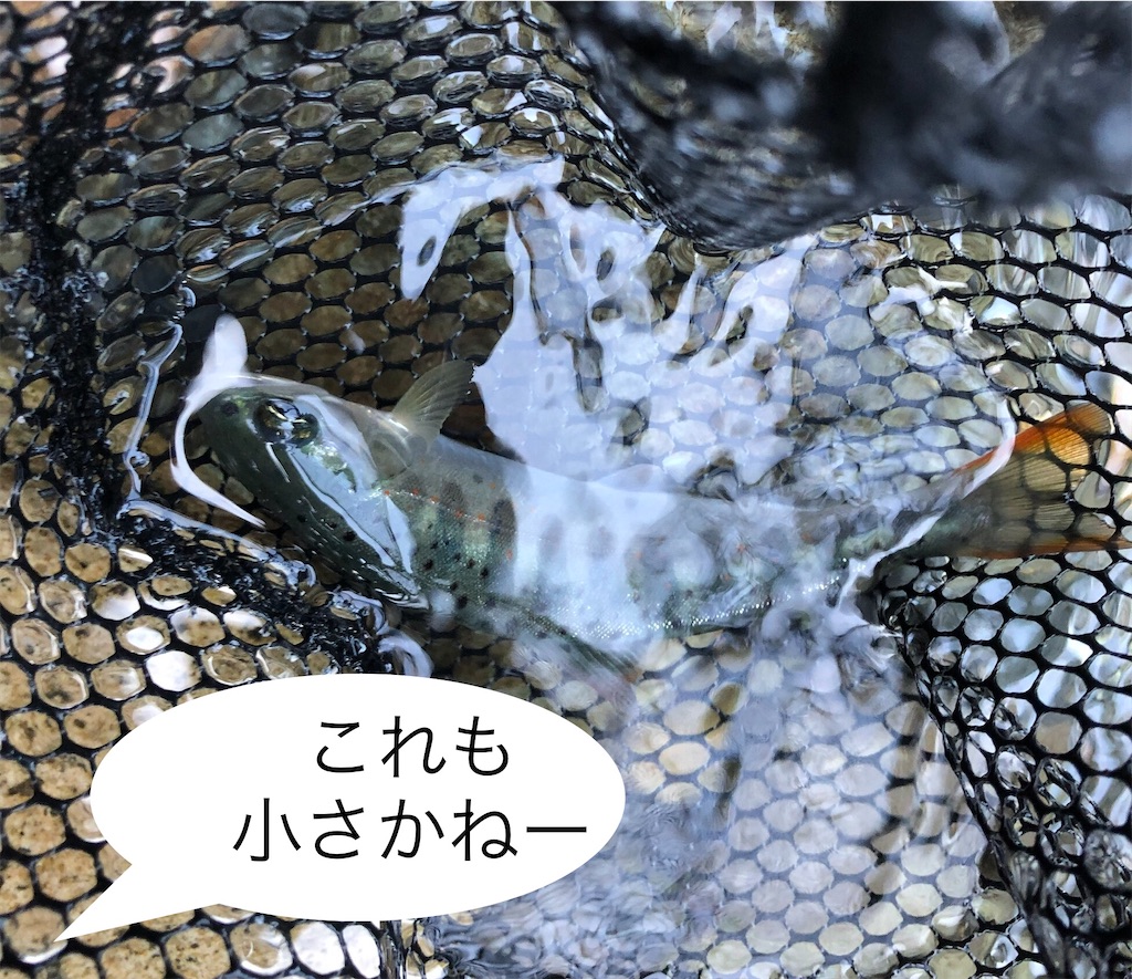 f:id:pirokitan:20240908172213j:image