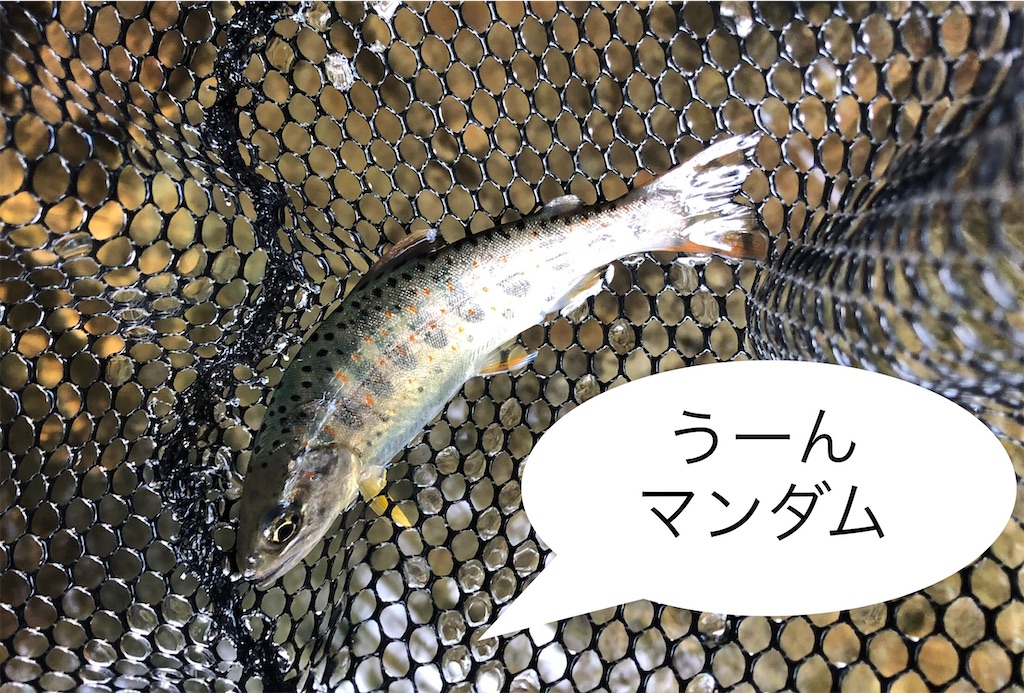 f:id:pirokitan:20240908172304j:image