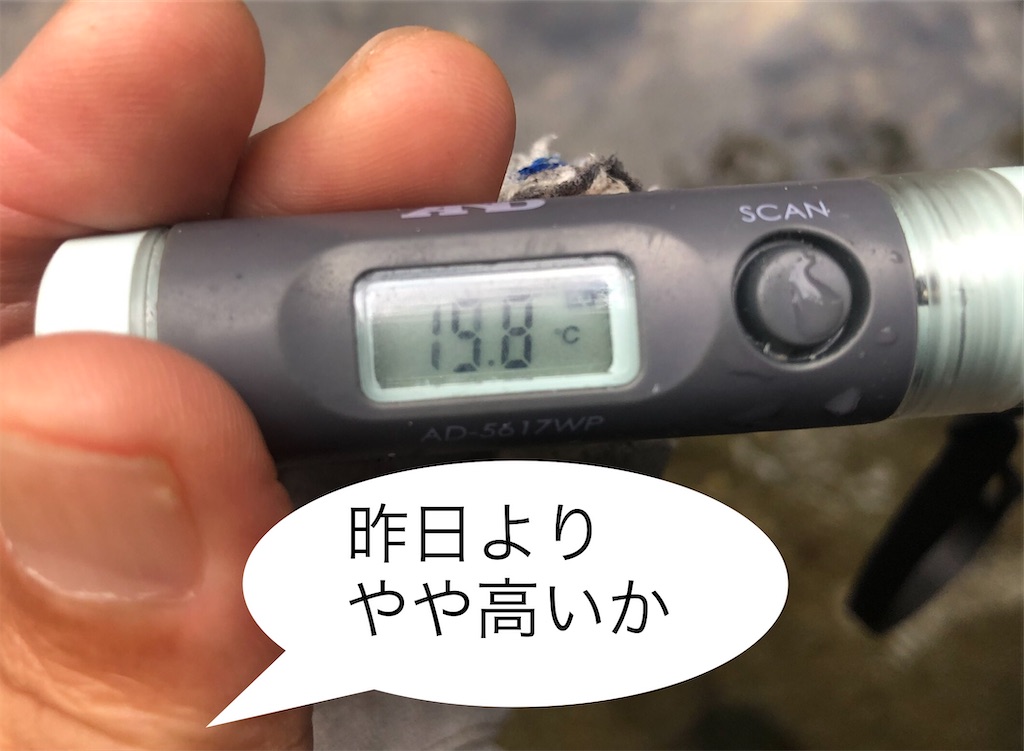 f:id:pirokitan:20240908174347j:image