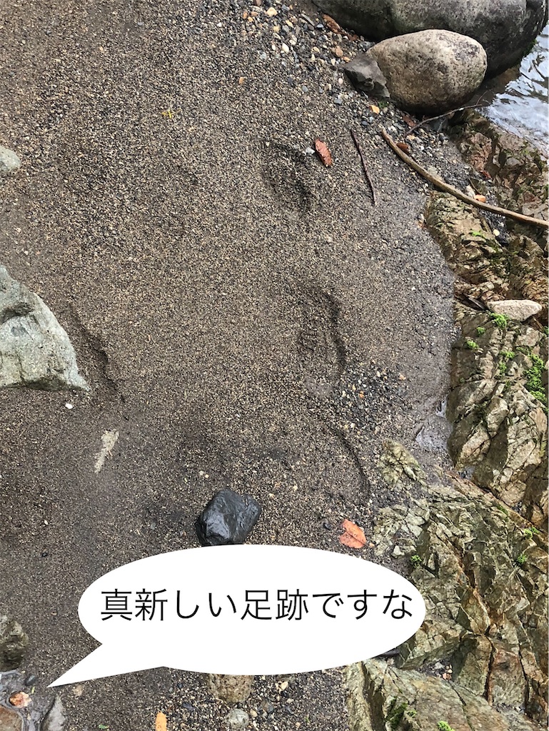 f:id:pirokitan:20240908174407j:image