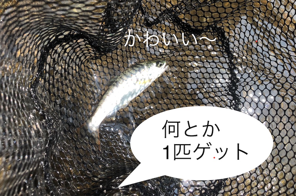 f:id:pirokitan:20240908174705j:image
