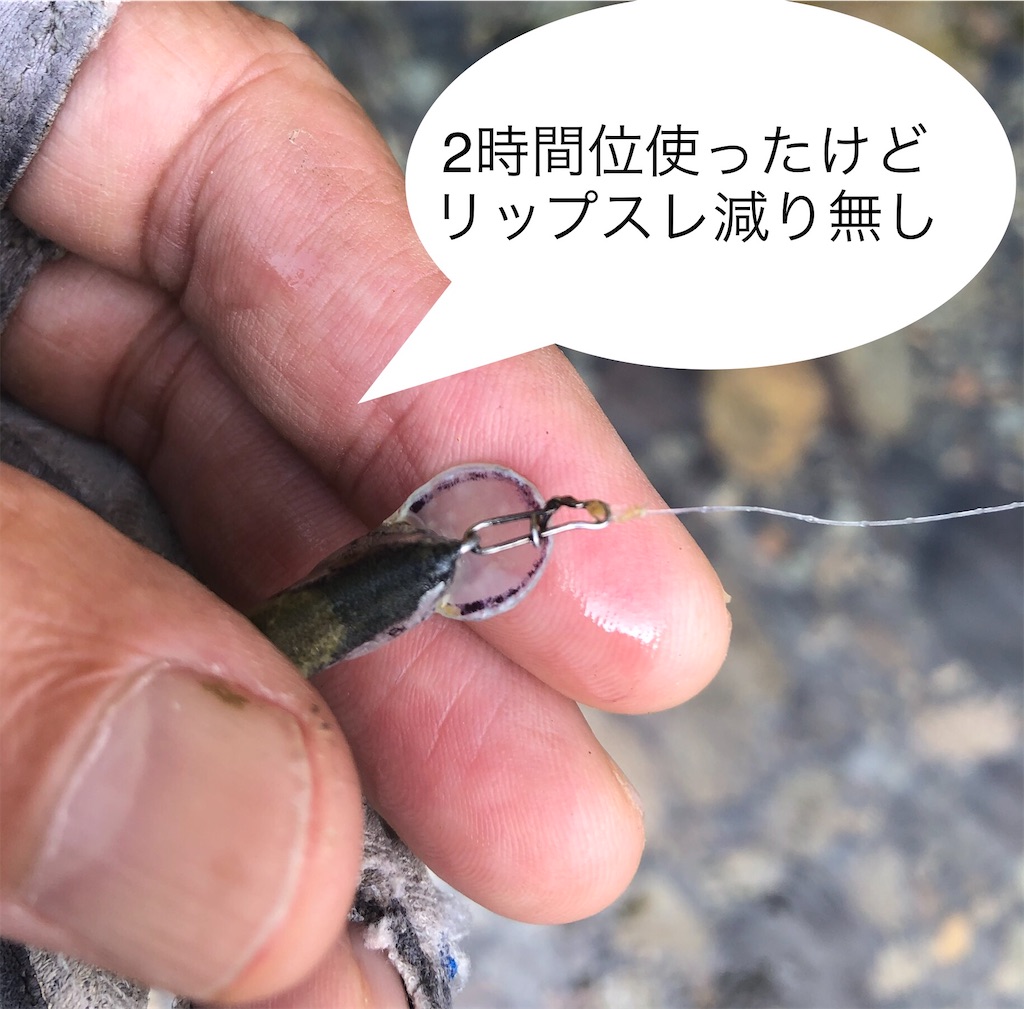 f:id:pirokitan:20240908174802j:image