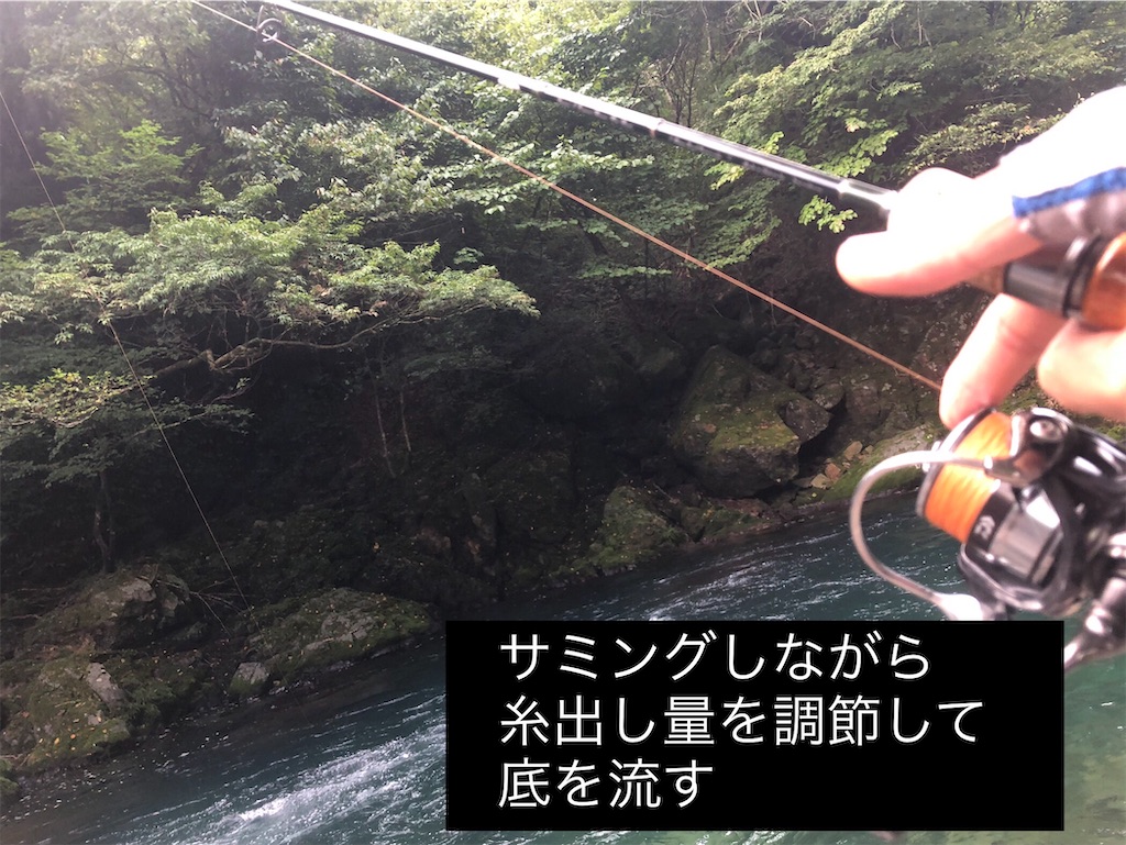 f:id:pirokitan:20240908175119j:image