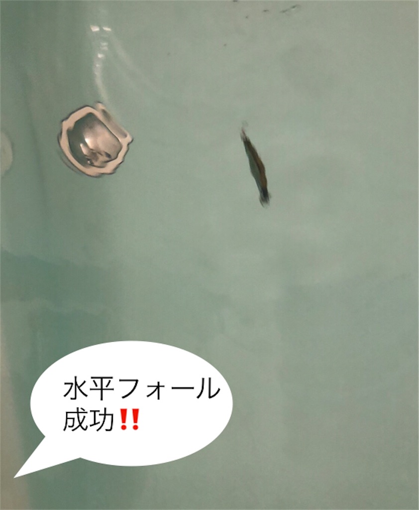 f:id:pirokitan:20240908181023j:image