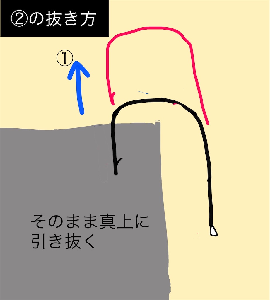 f:id:pirokitan:20240915203755j:image