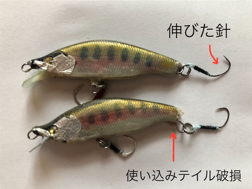 f:id:pirokitan:20240916121728j:image