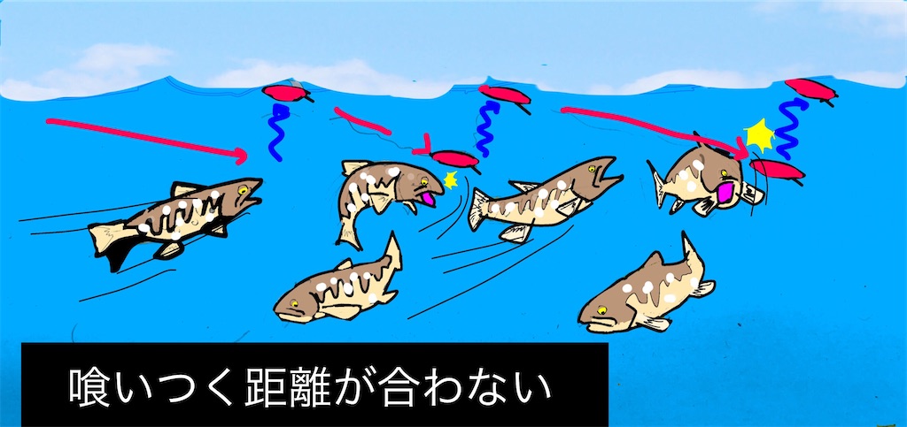 f:id:pirokitan:20240917120941j:image