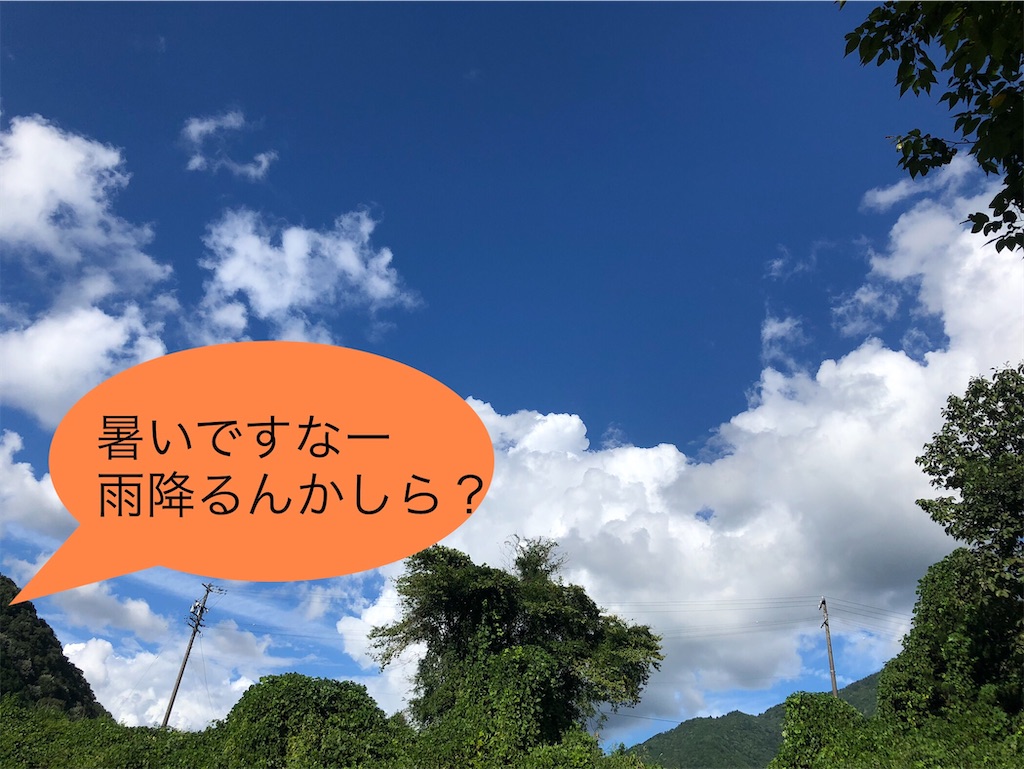 f:id:pirokitan:20240919091254j:image