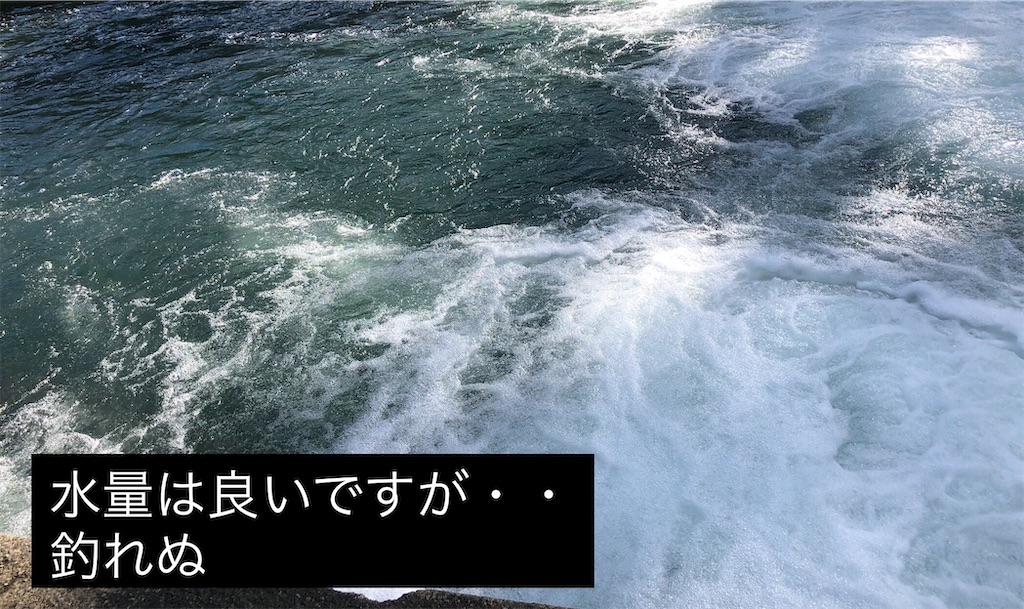 f:id:pirokitan:20240920093817j:image