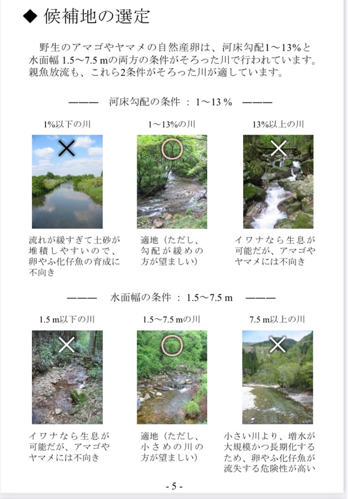 f:id:pirokitan:20240922113922j:image